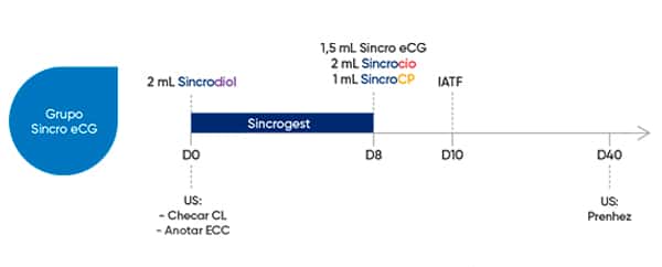 sincro-ecg-3