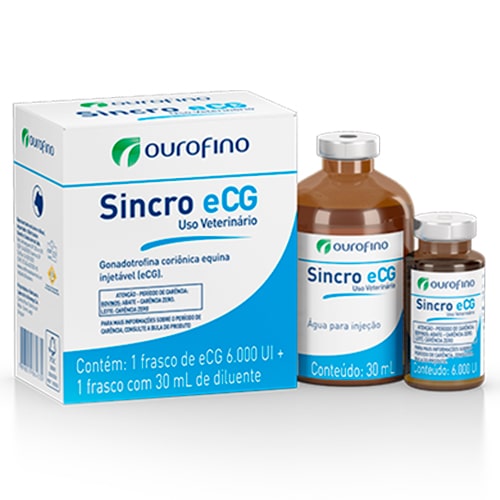 sincro-ecg-4
