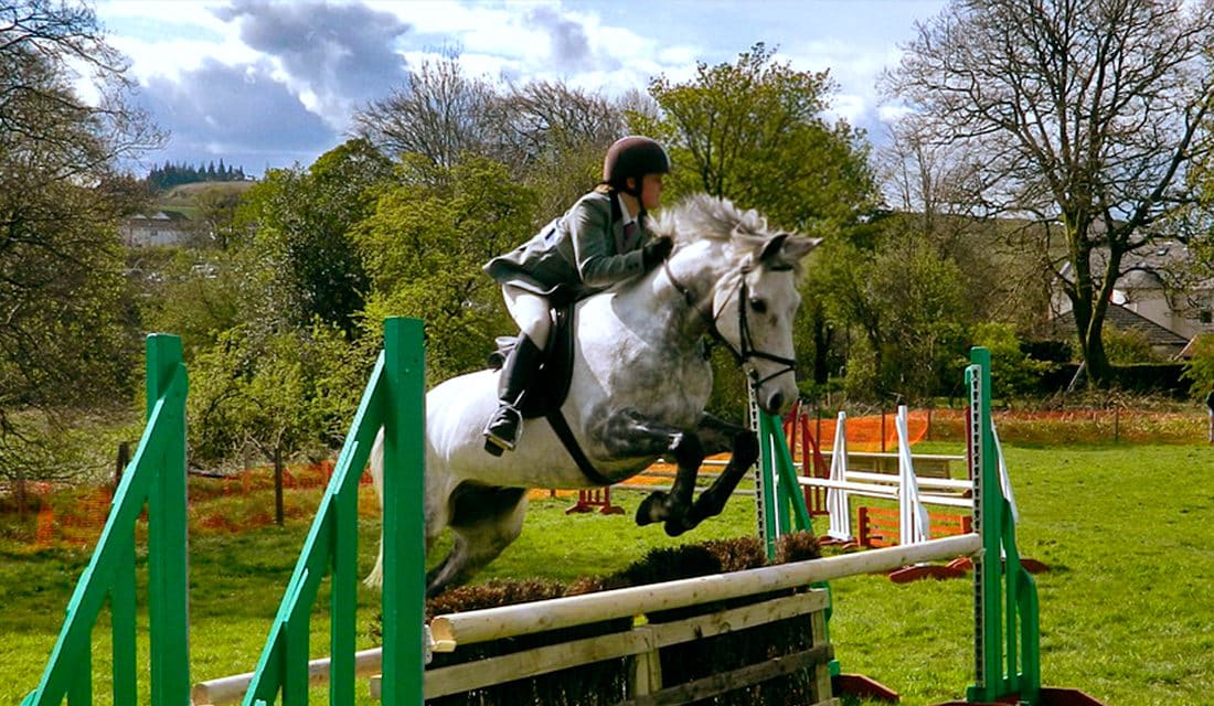 SALTAR SOBRE OBSTÁCULOS COM CAVALO - guia do esporte / hipismo