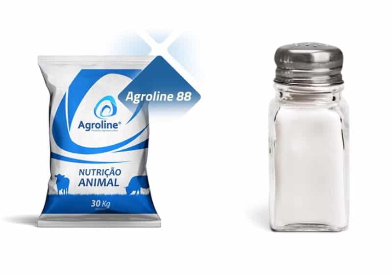 imagem de dois tipo de sal, Sal mineral e Sal comum