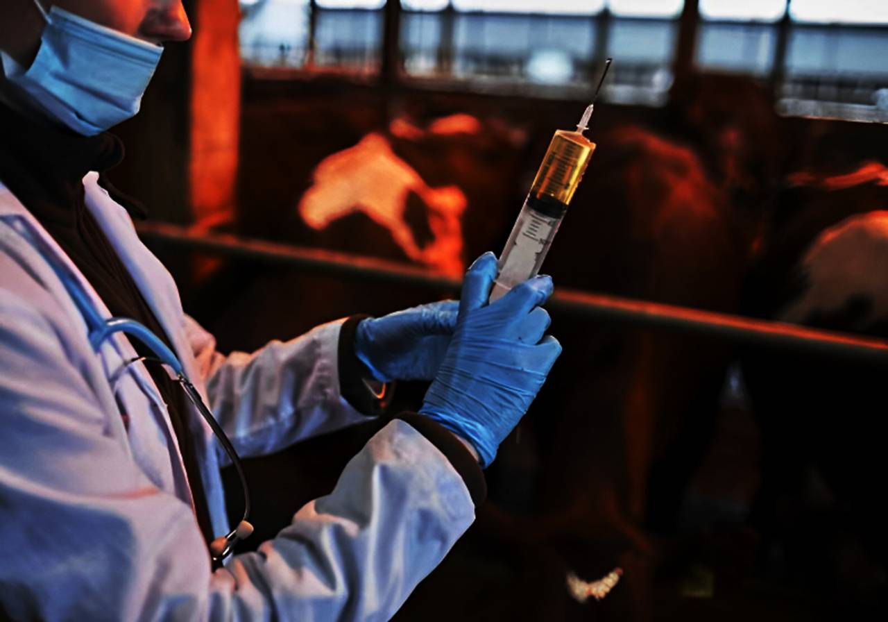 imagem de um veterinário com uma seringa com remédio em um fundo fosco 