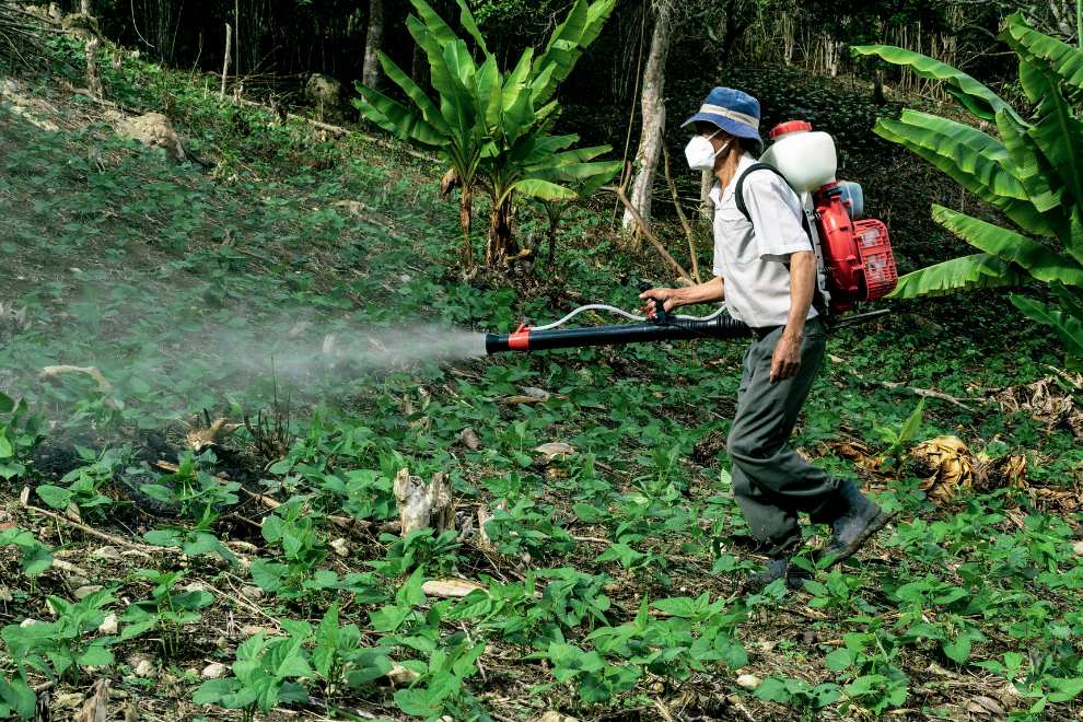 homem utilizando pesticida no mato