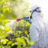 pessoa aplicando pesticida em uma plantação