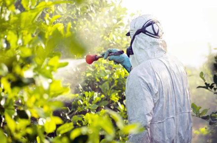 pessoa aplicando pesticida em uma plantação