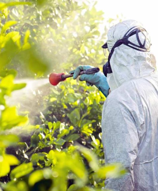 pessoa aplicando pesticida em uma plantação