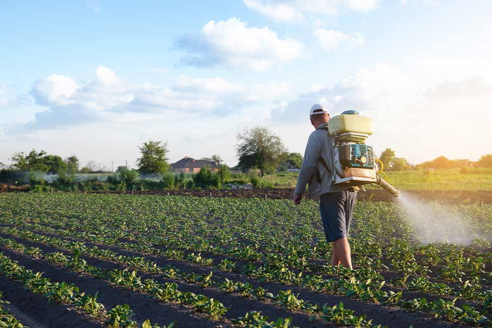 Agricultor aplicando pesticida em plantações