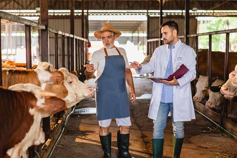 Veterinário e fazendeiro conversando sobre gado.